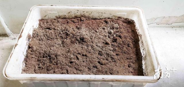 餐厨垃圾处理设备 餐厨垃圾处理设备