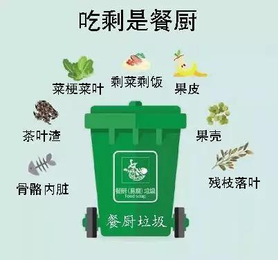 餐厨垃圾.jpeg