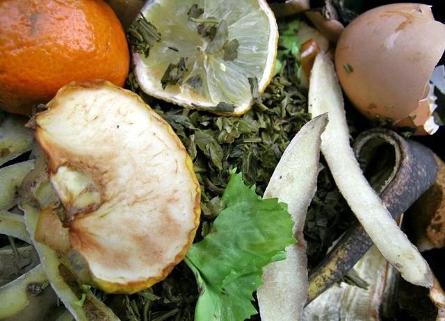 厨余垃圾处理机 (3).jpg