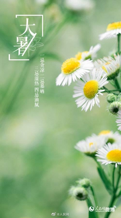 鸿本机械 鸿本机械