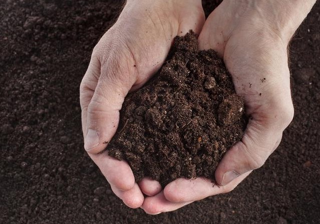 餐厨垃圾处理机 (1).jpg